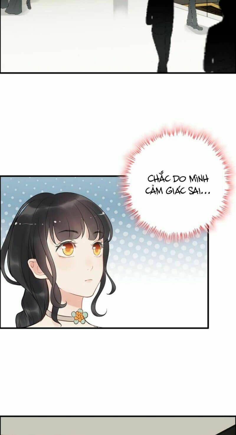 đọc truyện Cô Vợ Hợp Đồng Bỏ Trốn Của Tổng Giám Đốc Chương 206 ảnh 48 tại Thiên Thai Truyện