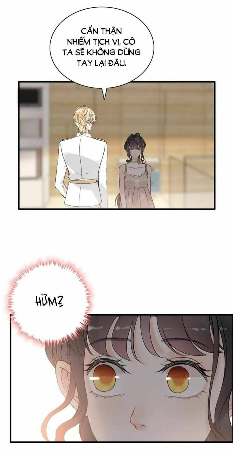 đọc truyện Cô Vợ Hợp Đồng Bỏ Trốn Của Tổng Giám Đốc Chương 207 ảnh 24 tại Thiên Thai Truyện