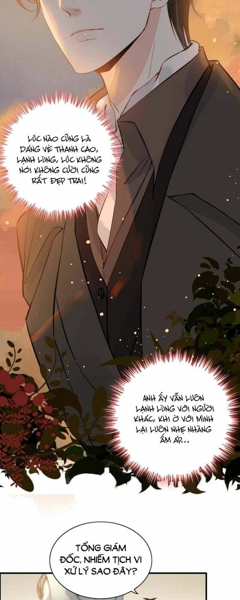 đọc truyện Cô Vợ Hợp Đồng Bỏ Trốn Của Tổng Giám Đốc Chương 207 ảnh 33 tại Thiên Thai Truyện