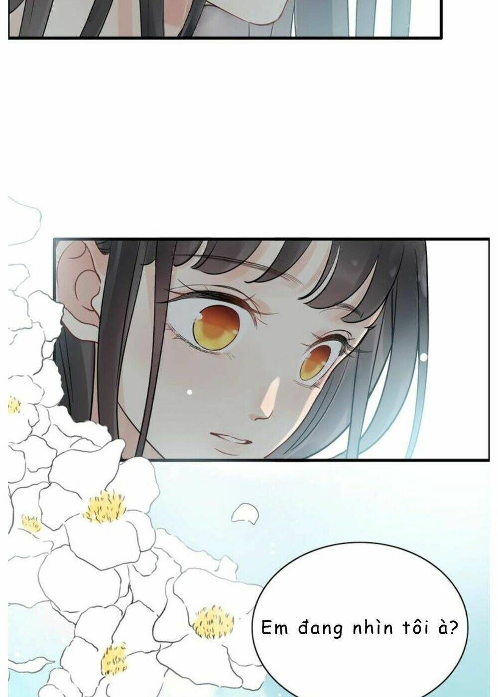 đọc truyện Cô Vợ Hợp Đồng Bỏ Trốn Của Tổng Giám Đốc Chương 209 ảnh 18 tại Thiên Thai Truyện