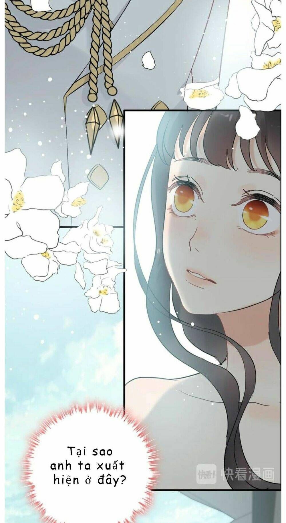 đọc truyện Cô Vợ Hợp Đồng Bỏ Trốn Của Tổng Giám Đốc Chương 209 ảnh 20 tại Thiên Thai Truyện