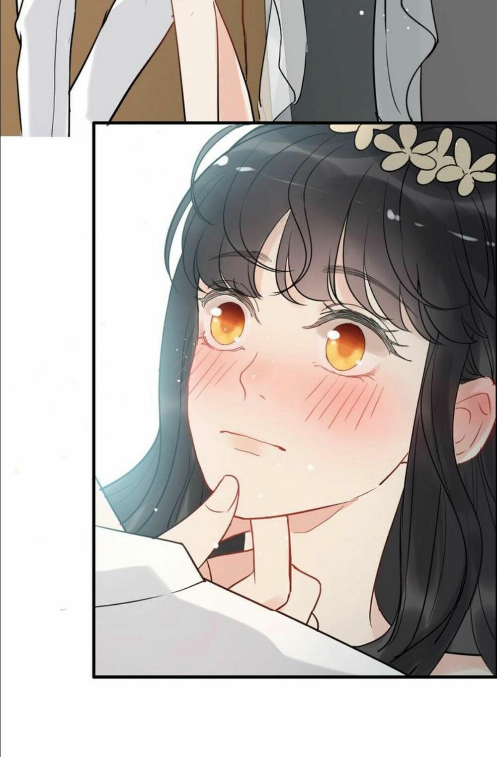 đọc truyện Cô Vợ Hợp Đồng Bỏ Trốn Của Tổng Giám Đốc Chương 210 ảnh 19 tại Thiên Thai Truyện