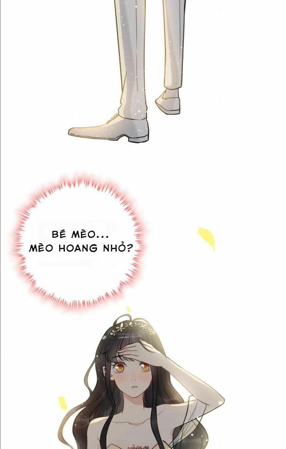 đọc truyện Cô Vợ Hợp Đồng Bỏ Trốn Của Tổng Giám Đốc Chương 210 ảnh 25 tại Thiên Thai Truyện