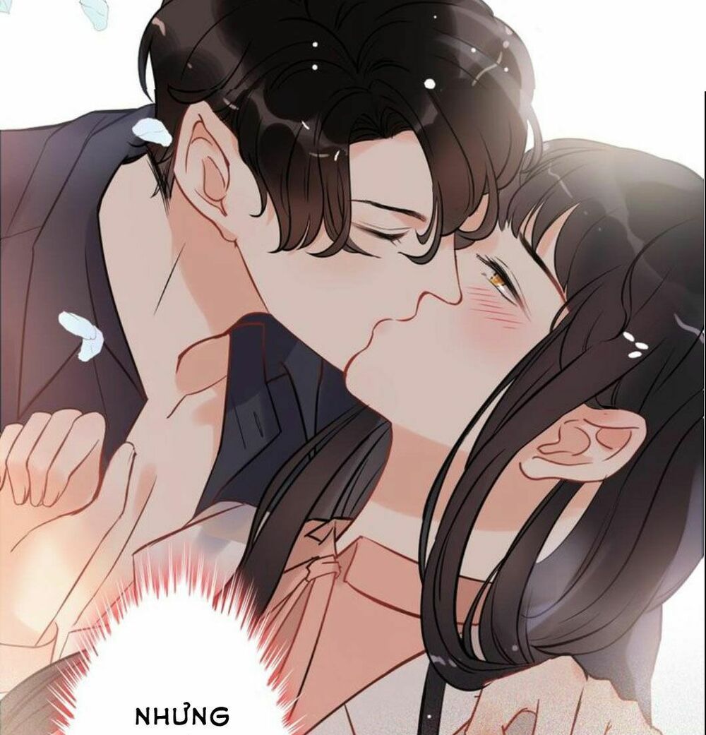 đọc truyện Cô Vợ Hợp Đồng Bỏ Trốn Của Tổng Giám Đốc Chương 210 ảnh 29 tại Thiên Thai Truyện