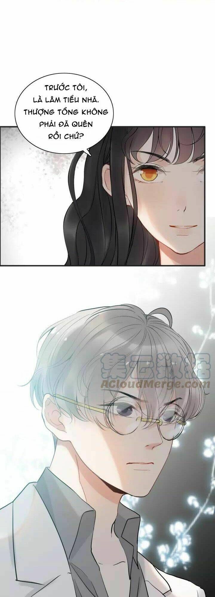 đọc truyện Cô Vợ Hợp Đồng Bỏ Trốn Của Tổng Giám Đốc Chương 212 ảnh 23 tại Thiên Thai Truyện