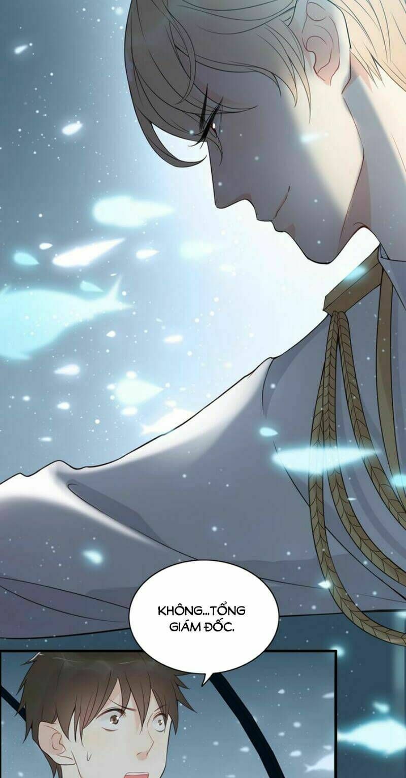 đọc truyện Cô Vợ Hợp Đồng Bỏ Trốn Của Tổng Giám Đốc Chương 214 ảnh 17 tại Thiên Thai Truyện