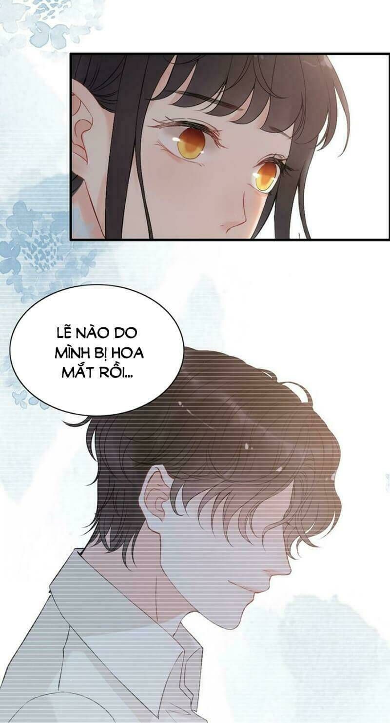 đọc truyện Cô Vợ Hợp Đồng Bỏ Trốn Của Tổng Giám Đốc Chương 214 ảnh 38 tại Thiên Thai Truyện