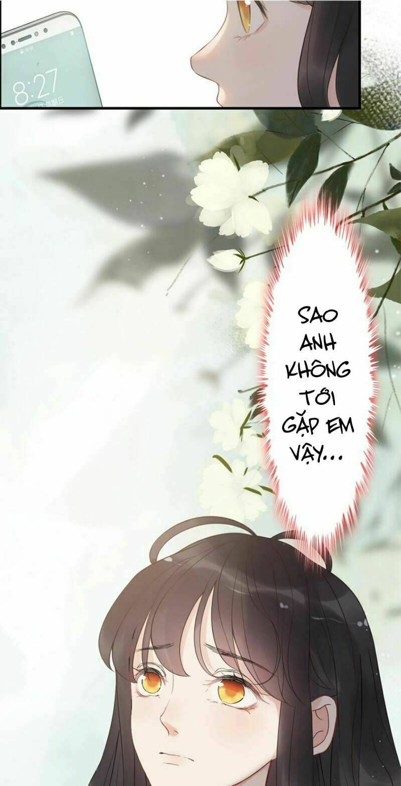 đọc truyện Cô Vợ Hợp Đồng Bỏ Trốn Của Tổng Giám Đốc Chương 214 ảnh 44 tại Thiên Thai Truyện