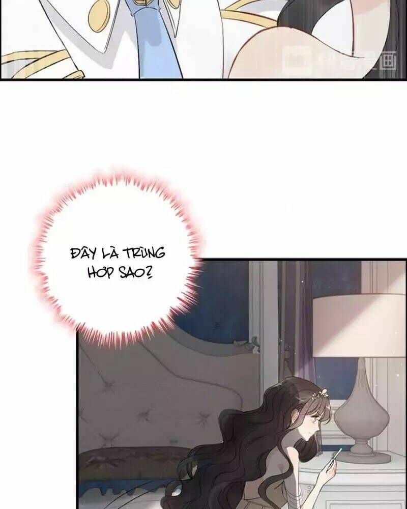 đọc truyện Cô Vợ Hợp Đồng Bỏ Trốn Của Tổng Giám Đốc Chương 215 ảnh 12 tại Thiên Thai Truyện