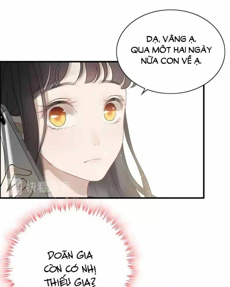 đọc truyện Cô Vợ Hợp Đồng Bỏ Trốn Của Tổng Giám Đốc Chương 215 ảnh 19 tại Thiên Thai Truyện