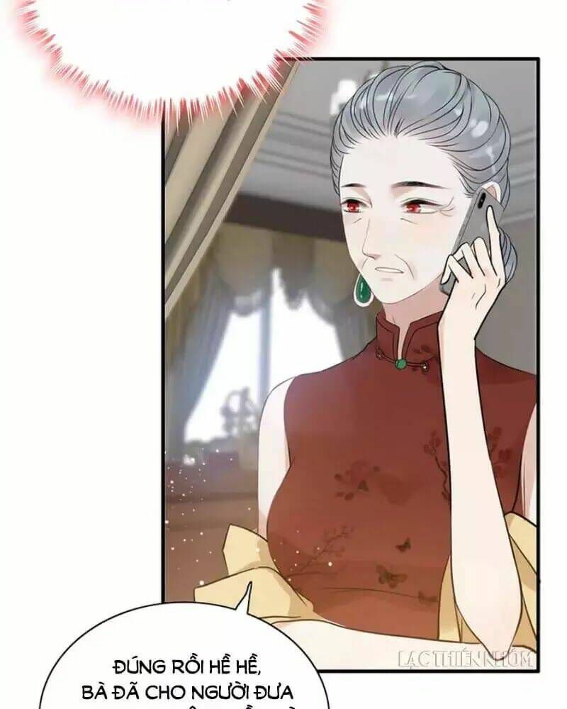 đọc truyện Cô Vợ Hợp Đồng Bỏ Trốn Của Tổng Giám Đốc Chương 215 ảnh 20 tại Thiên Thai Truyện