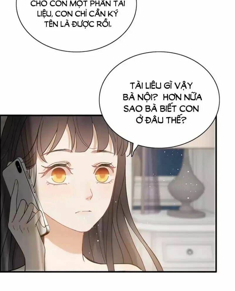 đọc truyện Cô Vợ Hợp Đồng Bỏ Trốn Của Tổng Giám Đốc Chương 215 ảnh 21 tại Thiên Thai Truyện