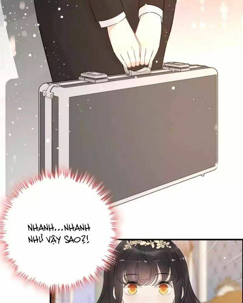 đọc truyện Cô Vợ Hợp Đồng Bỏ Trốn Của Tổng Giám Đốc Chương 215 ảnh 36 tại Thiên Thai Truyện