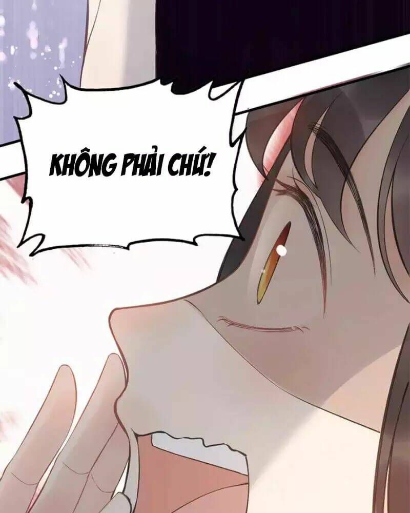 đọc truyện Cô Vợ Hợp Đồng Bỏ Trốn Của Tổng Giám Đốc Chương 215 ảnh 51 tại Thiên Thai Truyện