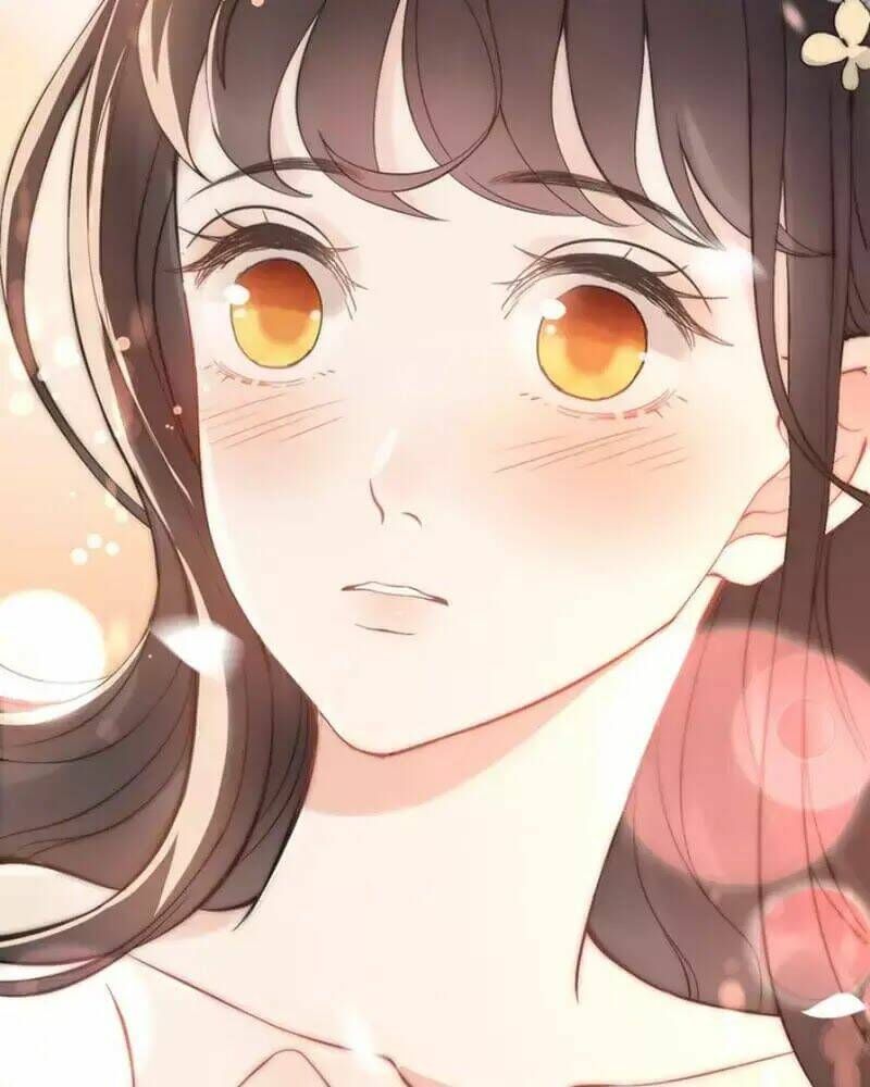 đọc truyện Cô Vợ Hợp Đồng Bỏ Trốn Của Tổng Giám Đốc Chương 215 ảnh 66 tại Thiên Thai Truyện