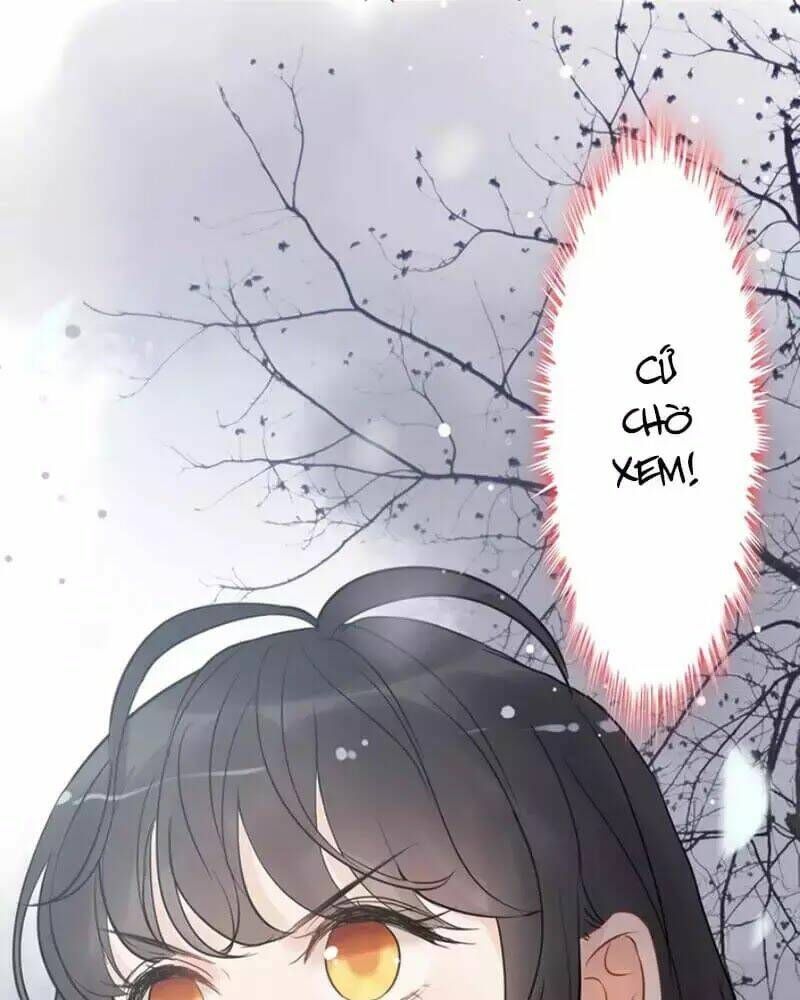 đọc truyện Cô Vợ Hợp Đồng Bỏ Trốn Của Tổng Giám Đốc Chương 216 ảnh 63 tại Thiên Thai Truyện