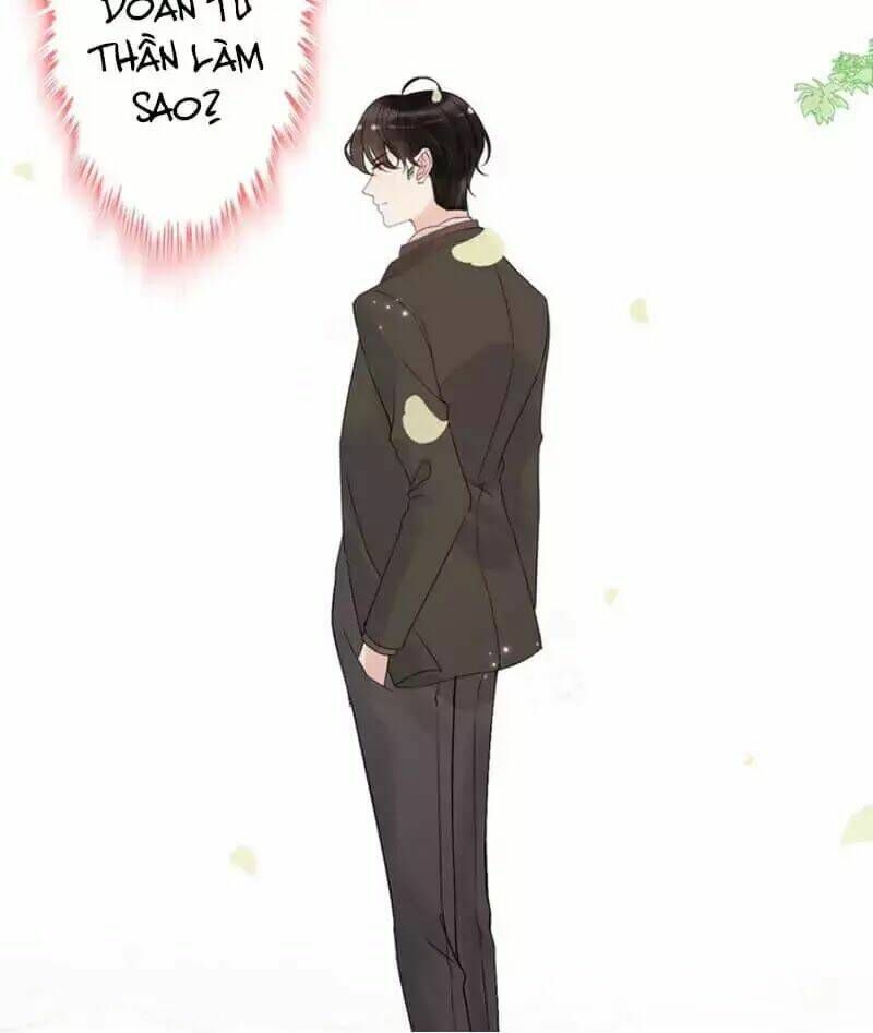 đọc truyện Cô Vợ Hợp Đồng Bỏ Trốn Của Tổng Giám Đốc Chương 216 ảnh 9 tại Thiên Thai Truyện