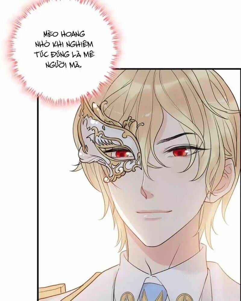 đọc truyện Cô Vợ Hợp Đồng Bỏ Trốn Của Tổng Giám Đốc Chương 217 ảnh 24 tại Thiên Thai Truyện