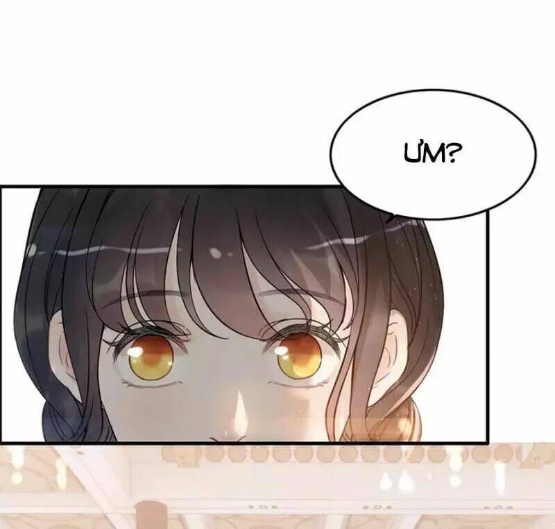 đọc truyện Cô Vợ Hợp Đồng Bỏ Trốn Của Tổng Giám Đốc Chương 217 ảnh 39 tại Thiên Thai Truyện