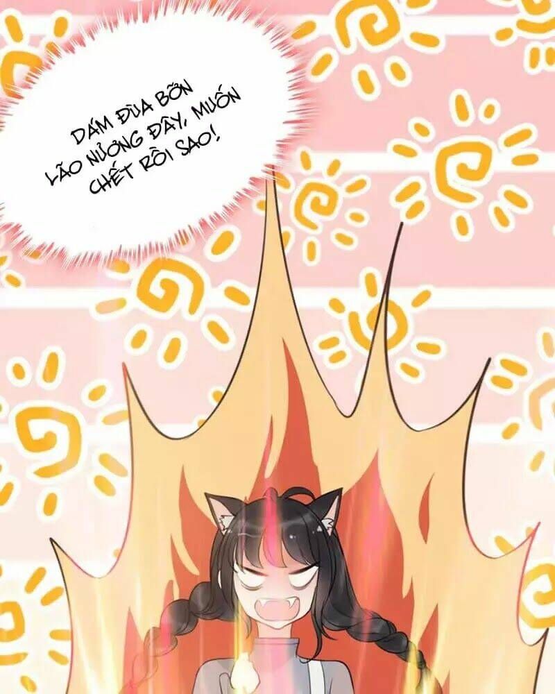 đọc truyện Cô Vợ Hợp Đồng Bỏ Trốn Của Tổng Giám Đốc Chương 217 ảnh 64 tại Thiên Thai Truyện