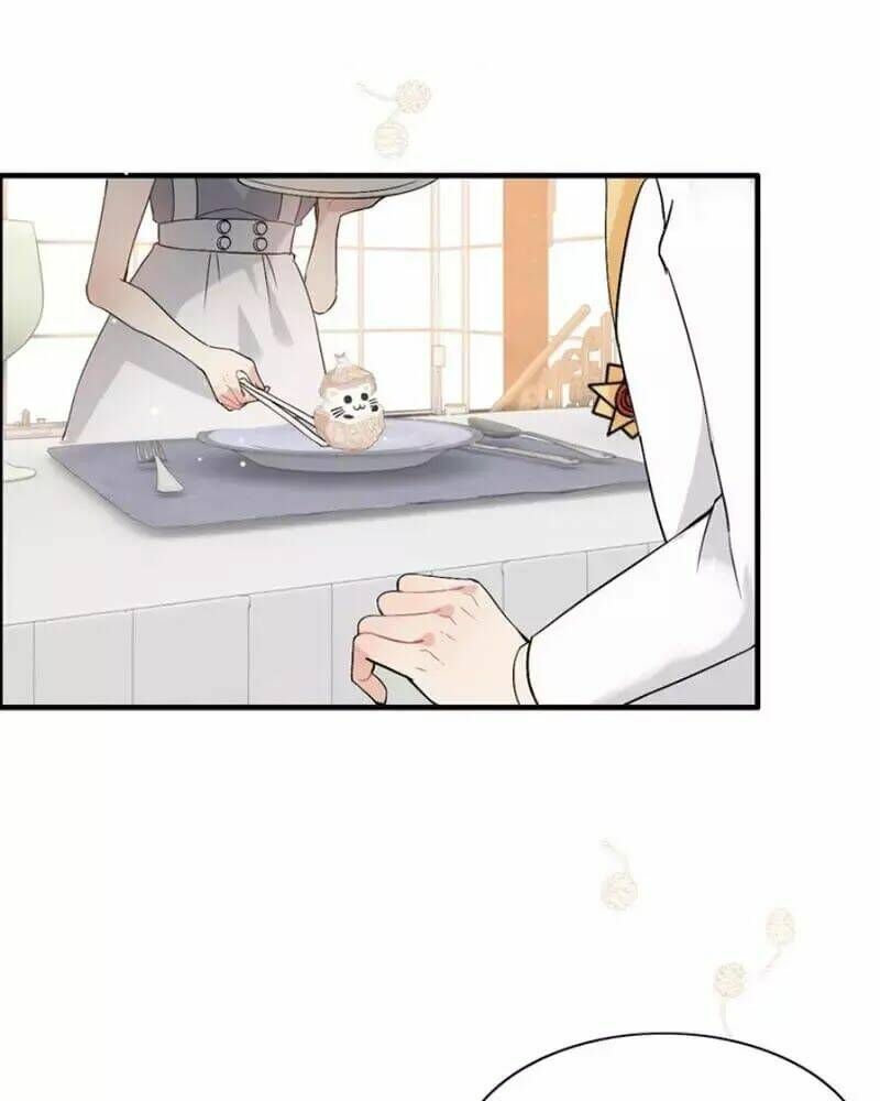 đọc truyện Cô Vợ Hợp Đồng Bỏ Trốn Của Tổng Giám Đốc Chương 218 ảnh 21 tại Thiên Thai Truyện