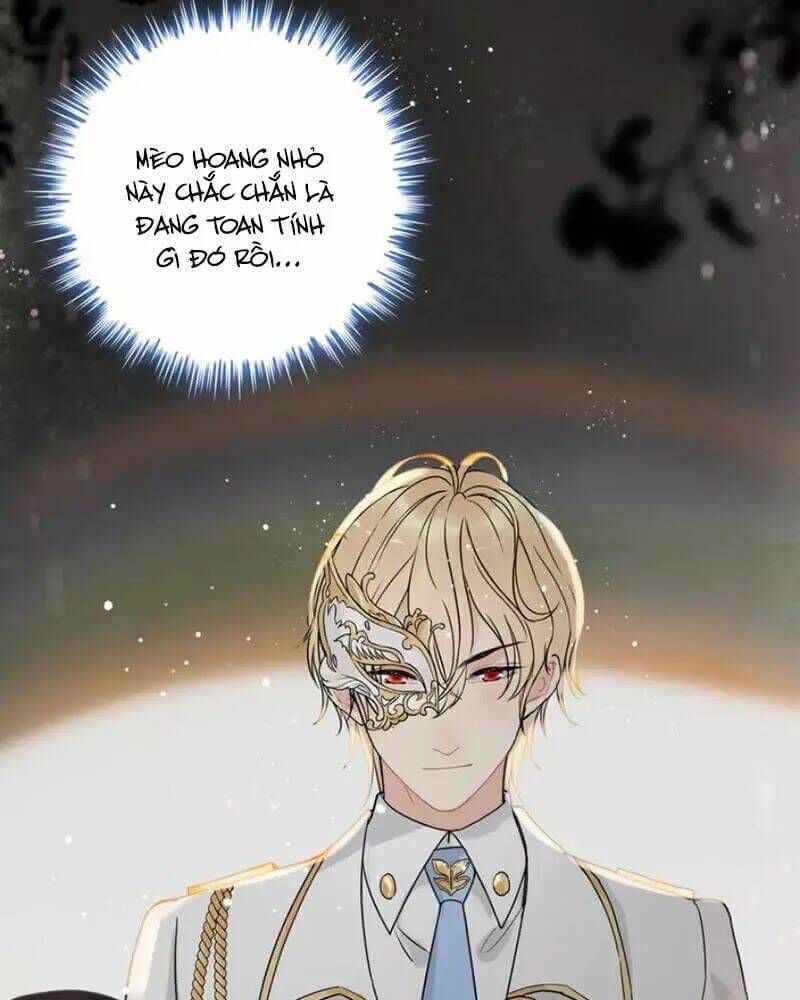 đọc truyện Cô Vợ Hợp Đồng Bỏ Trốn Của Tổng Giám Đốc Chương 218 ảnh 23 tại Thiên Thai Truyện