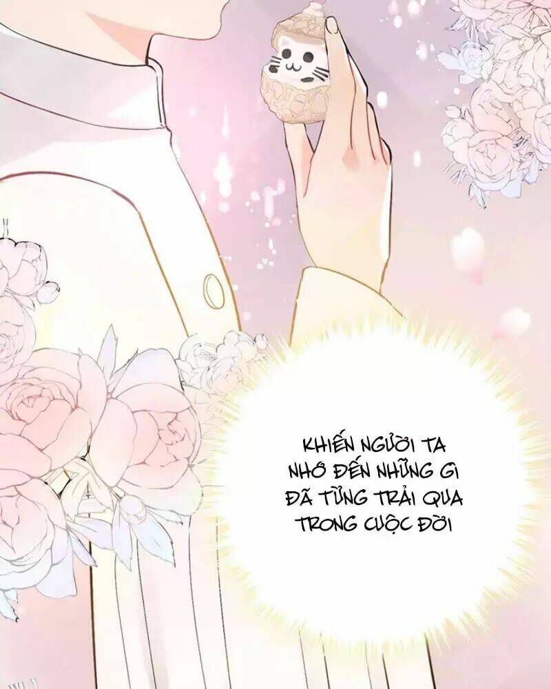 đọc truyện Cô Vợ Hợp Đồng Bỏ Trốn Của Tổng Giám Đốc Chương 218 ảnh 34 tại Thiên Thai Truyện