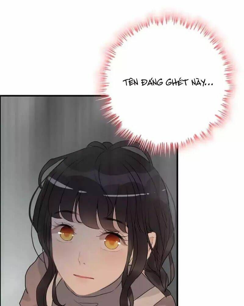 đọc truyện Cô Vợ Hợp Đồng Bỏ Trốn Của Tổng Giám Đốc Chương 218 ảnh 72 tại Thiên Thai Truyện