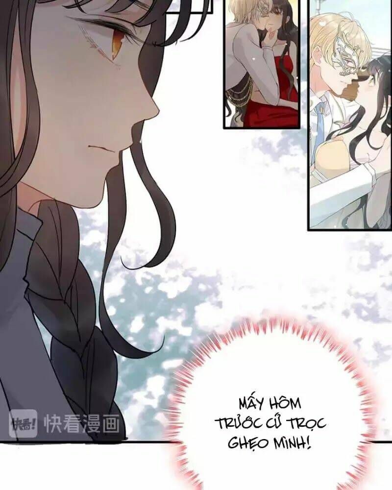 đọc truyện Cô Vợ Hợp Đồng Bỏ Trốn Của Tổng Giám Đốc Chương 219 ảnh 12 tại Thiên Thai Truyện