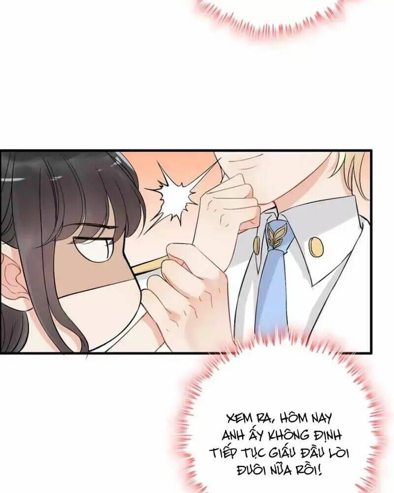 đọc truyện Cô Vợ Hợp Đồng Bỏ Trốn Của Tổng Giám Đốc Chương 219 ảnh 13 tại Thiên Thai Truyện