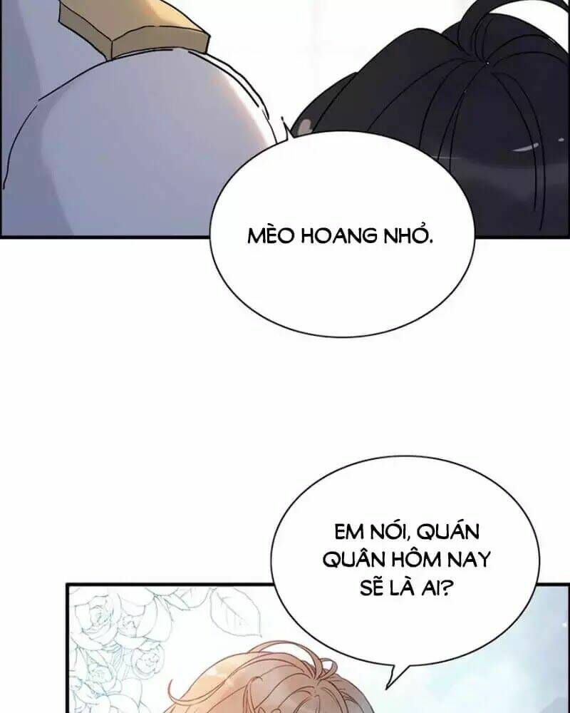 đọc truyện Cô Vợ Hợp Đồng Bỏ Trốn Của Tổng Giám Đốc Chương 219 ảnh 16 tại Thiên Thai Truyện