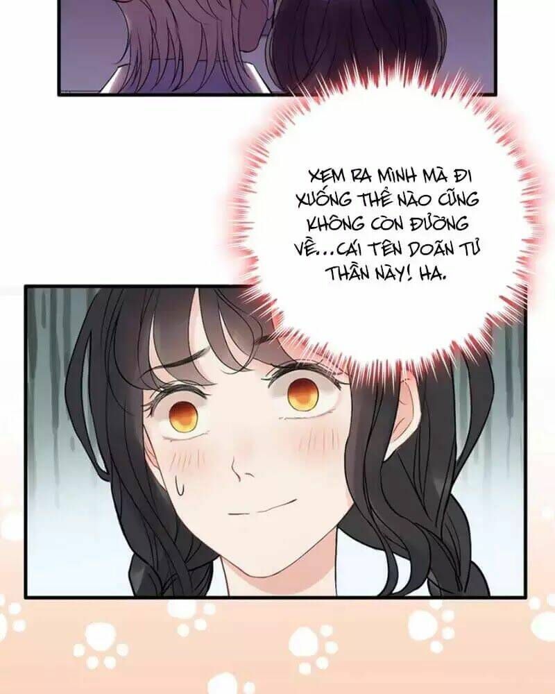 đọc truyện Cô Vợ Hợp Đồng Bỏ Trốn Của Tổng Giám Đốc Chương 219 ảnh 26 tại Thiên Thai Truyện