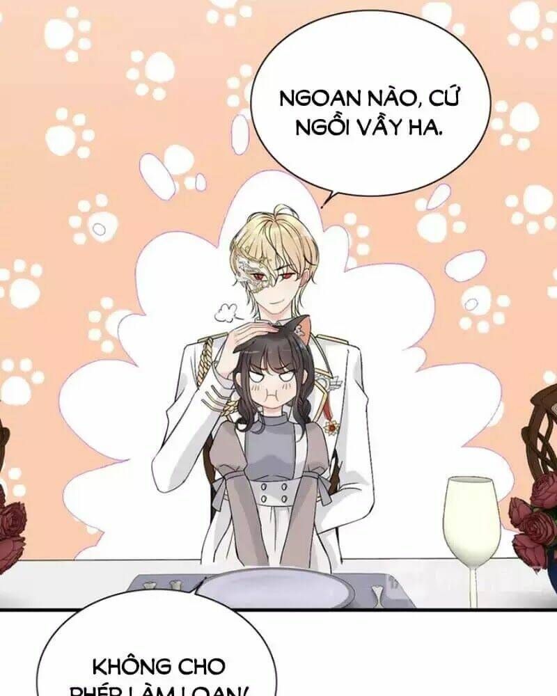 đọc truyện Cô Vợ Hợp Đồng Bỏ Trốn Của Tổng Giám Đốc Chương 219 ảnh 27 tại Thiên Thai Truyện