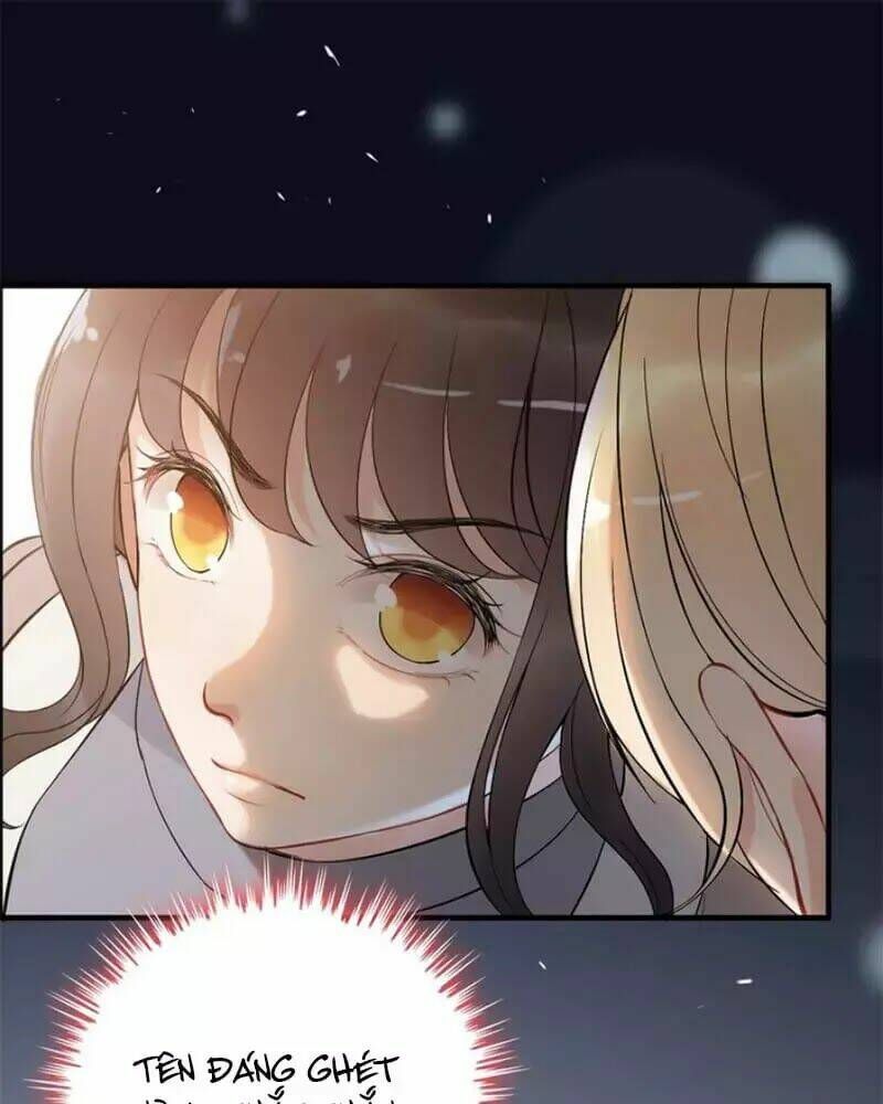 đọc truyện Cô Vợ Hợp Đồng Bỏ Trốn Của Tổng Giám Đốc Chương 219 ảnh 6 tại Thiên Thai Truyện