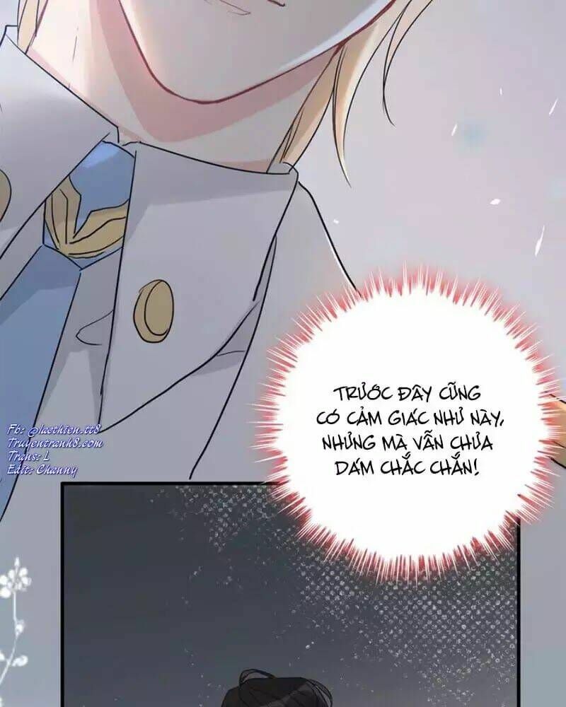 đọc truyện Cô Vợ Hợp Đồng Bỏ Trốn Của Tổng Giám Đốc Chương 219 ảnh 8 tại Thiên Thai Truyện