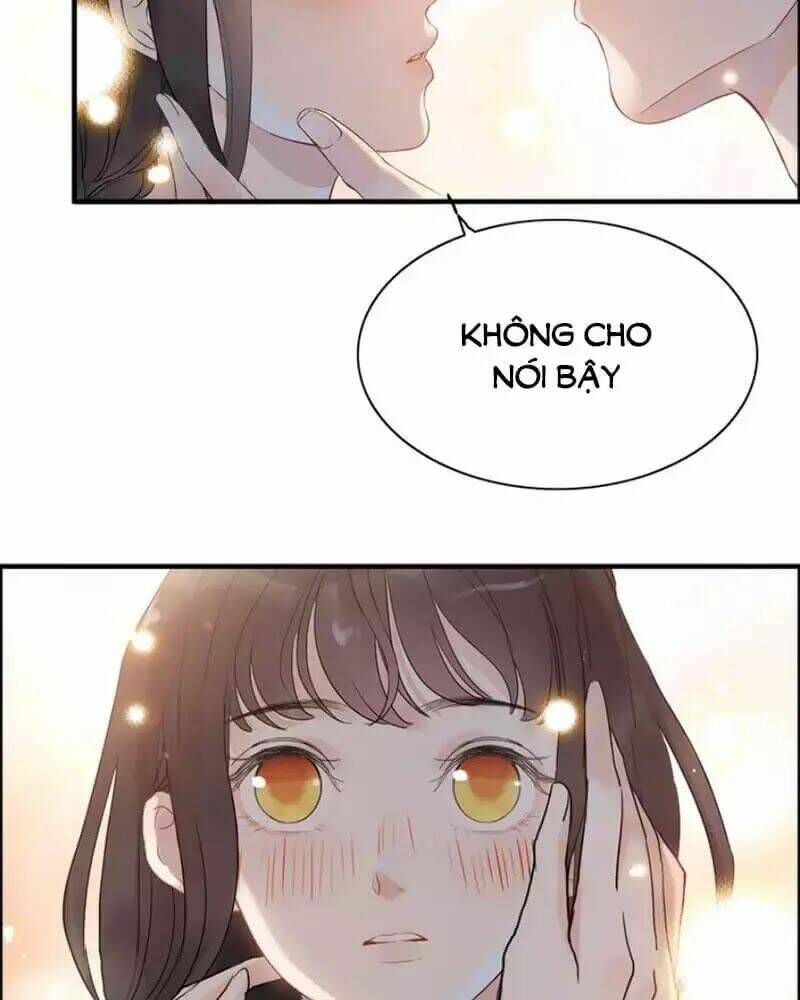 đọc truyện Cô Vợ Hợp Đồng Bỏ Trốn Của Tổng Giám Đốc Chương 219 ảnh 71 tại Thiên Thai Truyện