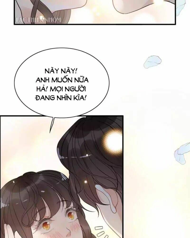 đọc truyện Cô Vợ Hợp Đồng Bỏ Trốn Của Tổng Giám Đốc Chương 219 ảnh 75 tại Thiên Thai Truyện