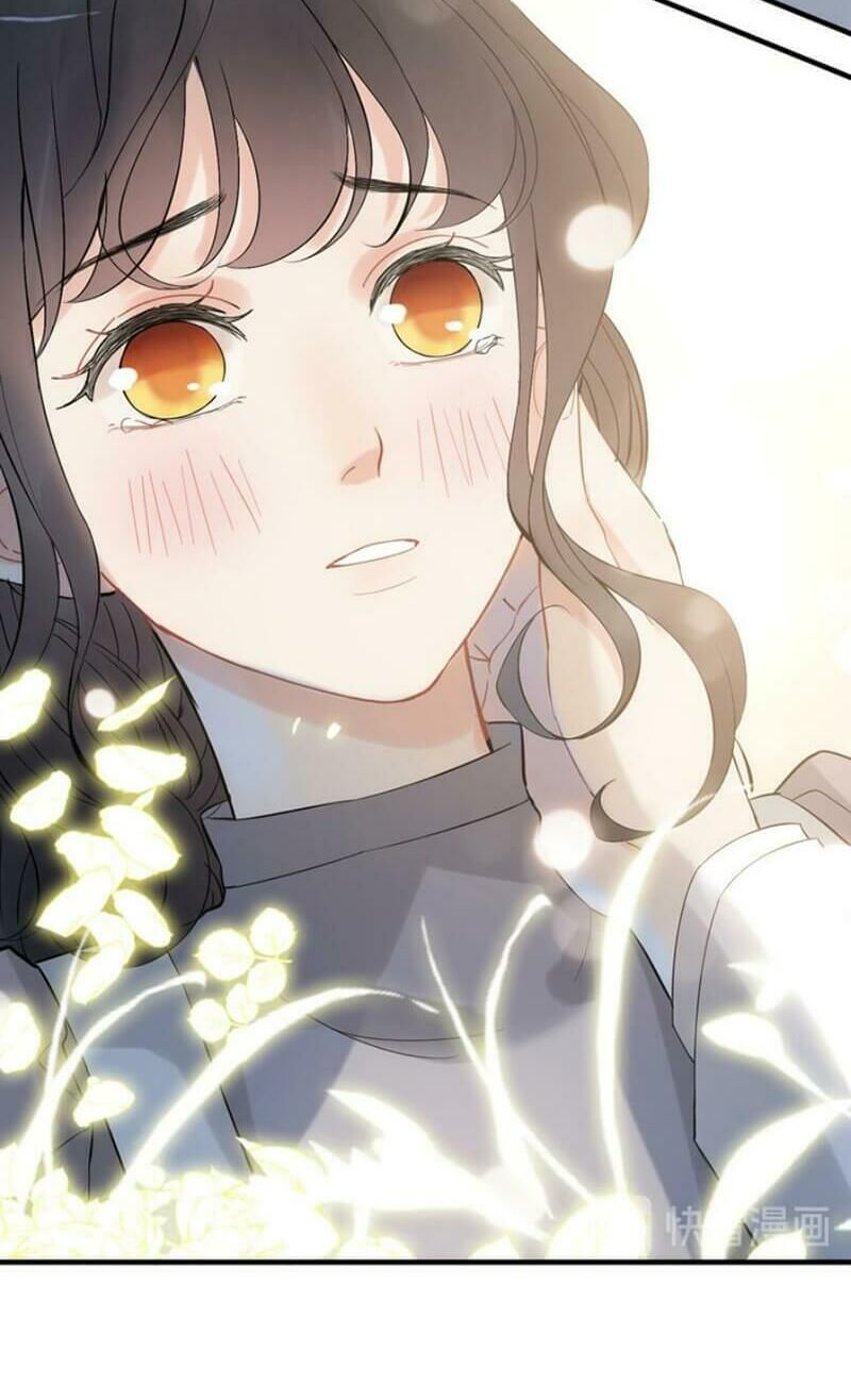 đọc truyện Cô Vợ Hợp Đồng Bỏ Trốn Của Tổng Giám Đốc Chương 220 ảnh 13 tại Thiên Thai Truyện