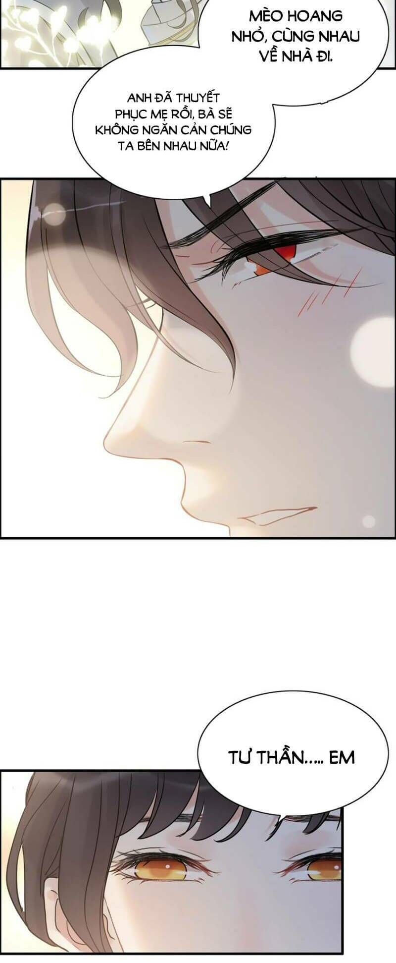 đọc truyện Cô Vợ Hợp Đồng Bỏ Trốn Của Tổng Giám Đốc Chương 220 ảnh 15 tại Thiên Thai Truyện