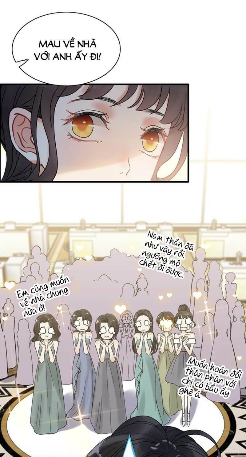 đọc truyện Cô Vợ Hợp Đồng Bỏ Trốn Của Tổng Giám Đốc Chương 220 ảnh 16 tại Thiên Thai Truyện