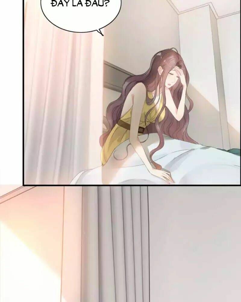 đọc truyện Cô Vợ Hợp Đồng Bỏ Trốn Của Tổng Giám Đốc Chương 221 ảnh 3 tại Thiên Thai Truyện