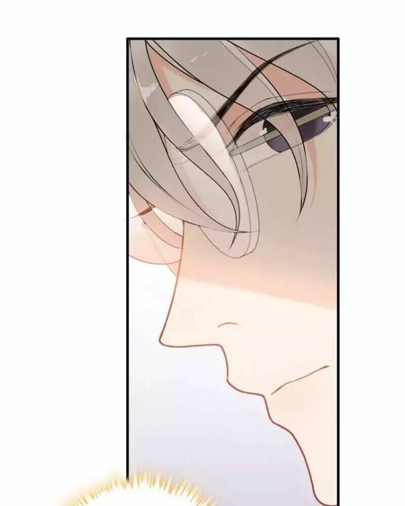 đọc truyện Cô Vợ Hợp Đồng Bỏ Trốn Của Tổng Giám Đốc Chương 221 ảnh 13 tại Thiên Thai Truyện