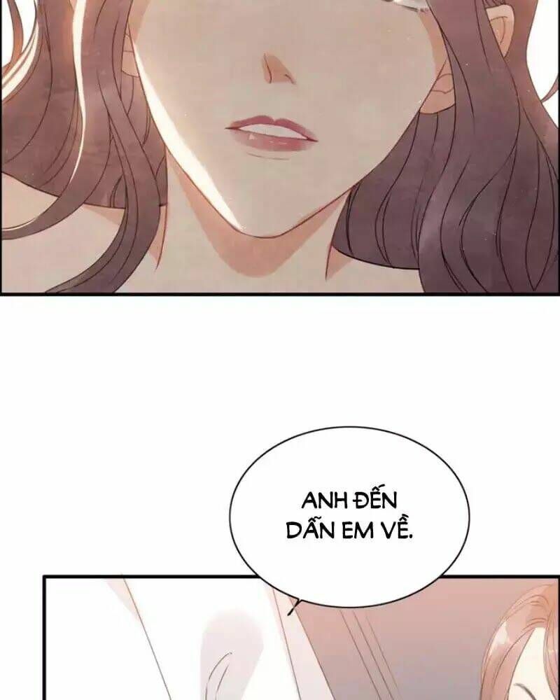 đọc truyện Cô Vợ Hợp Đồng Bỏ Trốn Của Tổng Giám Đốc Chương 221 ảnh 21 tại Thiên Thai Truyện