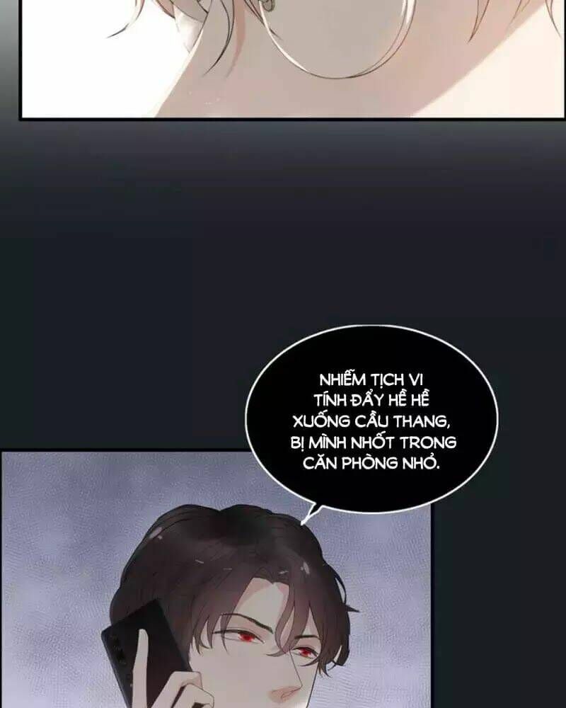 đọc truyện Cô Vợ Hợp Đồng Bỏ Trốn Của Tổng Giám Đốc Chương 221 ảnh 8 tại Thiên Thai Truyện