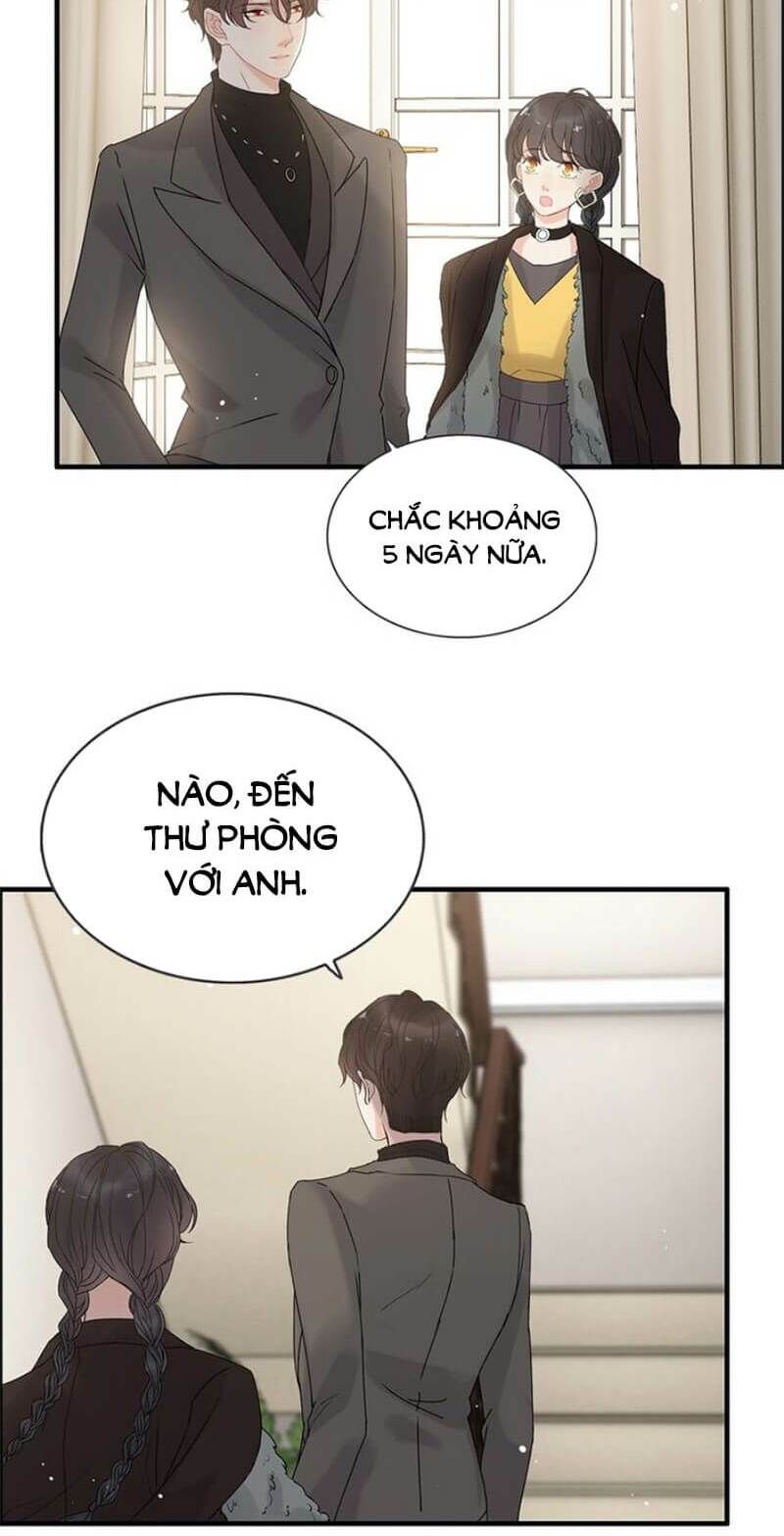 đọc truyện Cô Vợ Hợp Đồng Bỏ Trốn Của Tổng Giám Đốc Chương 222 ảnh 12 tại Thiên Thai Truyện