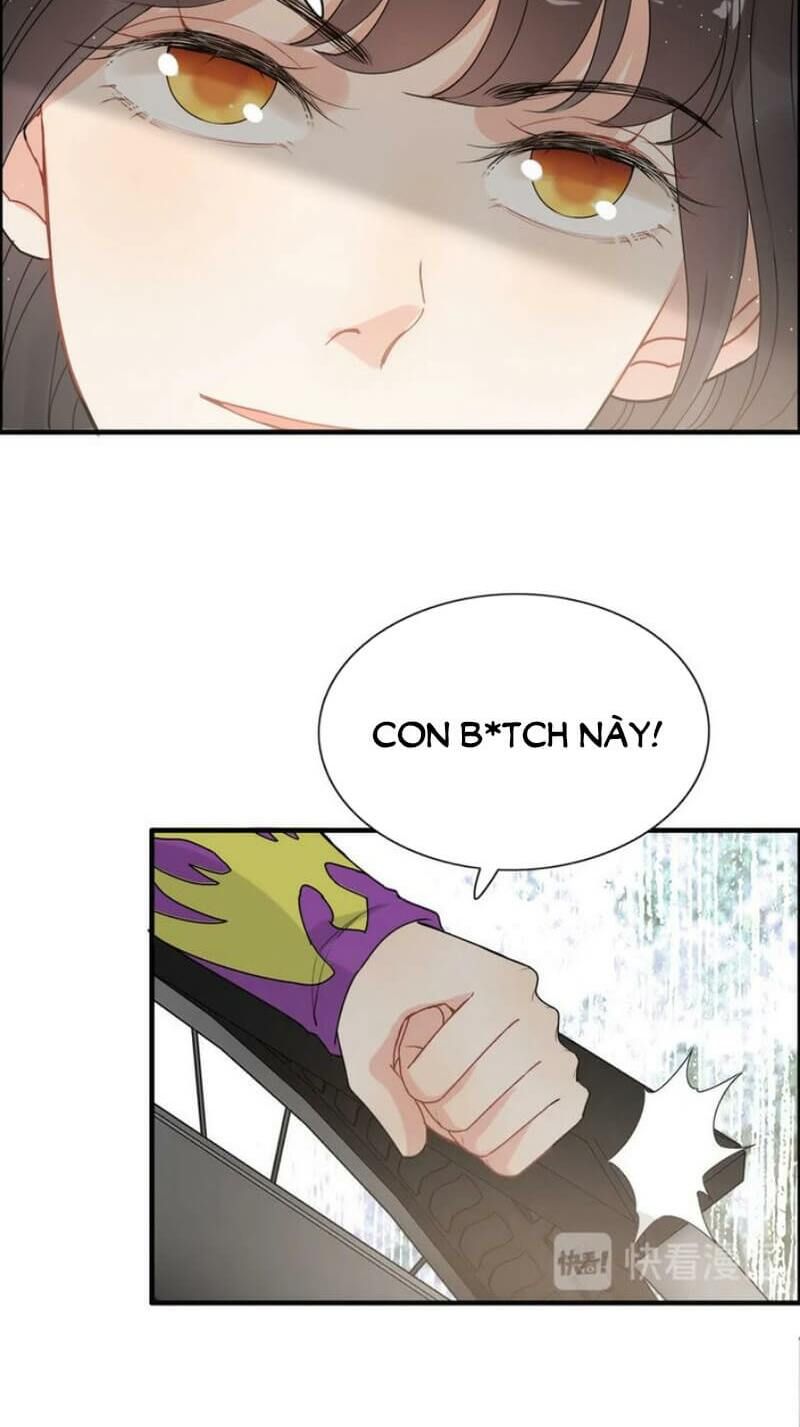 đọc truyện Cô Vợ Hợp Đồng Bỏ Trốn Của Tổng Giám Đốc Chương 223 ảnh 28 tại Thiên Thai Truyện