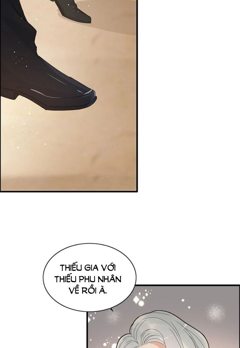 đọc truyện Cô Vợ Hợp Đồng Bỏ Trốn Của Tổng Giám Đốc Chương 223 ảnh 7 tại Thiên Thai Truyện