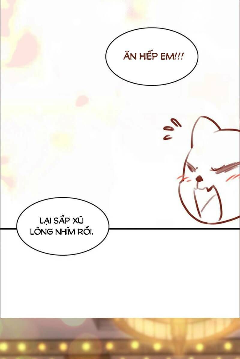 đọc truyện Cô Vợ Hợp Đồng Bỏ Trốn Của Tổng Giám Đốc Chương 227 ảnh 16 tại Thiên Thai Truyện