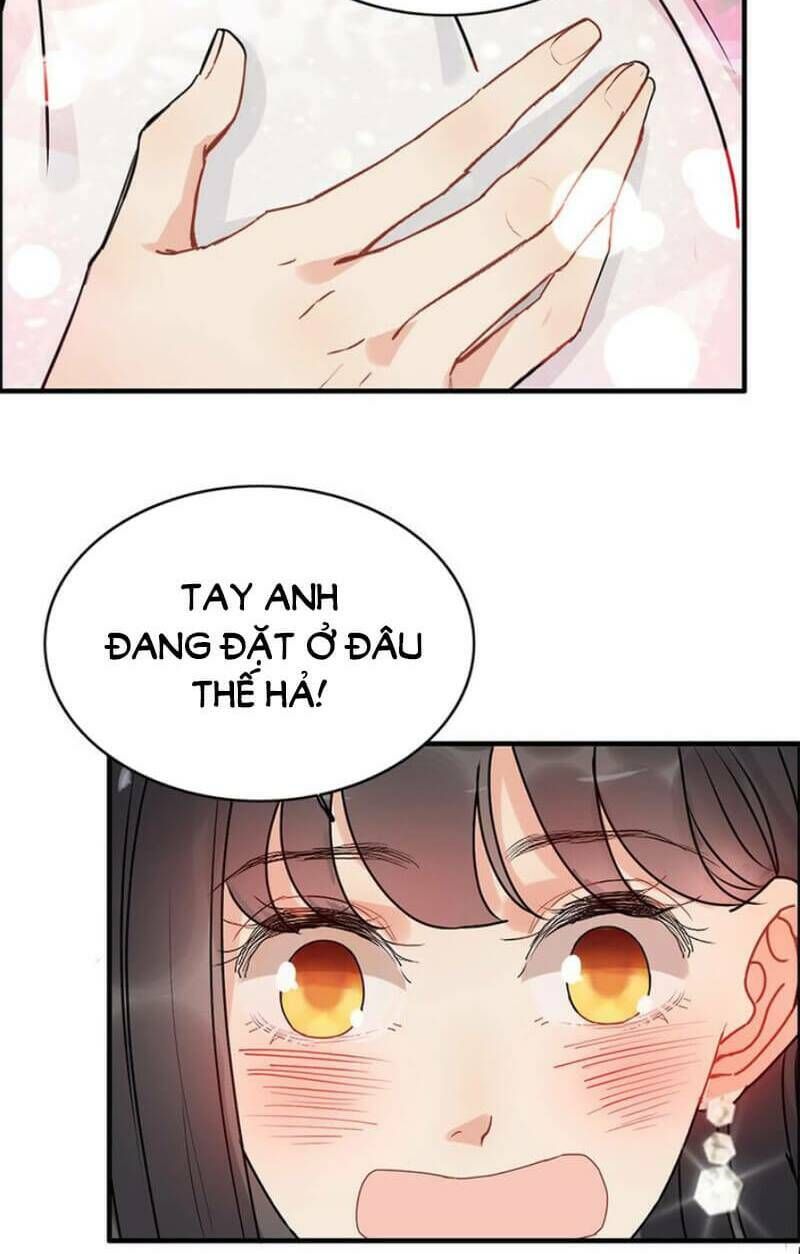 đọc truyện Cô Vợ Hợp Đồng Bỏ Trốn Của Tổng Giám Đốc Chương 227 ảnh 6 tại Thiên Thai Truyện