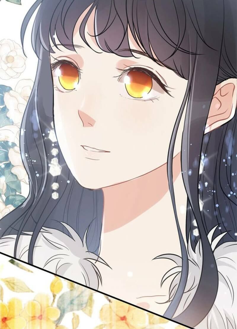 đọc truyện Cô Vợ Hợp Đồng Bỏ Trốn Của Tổng Giám Đốc Chương 229 ảnh 25 tại Thiên Thai Truyện